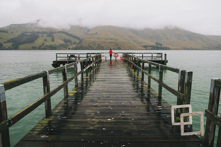 Tree Photograph - Woman On A Red Jacket Standing At Port Levy Jetty, Banks Peninsula, Nz #1 by Cavan Images