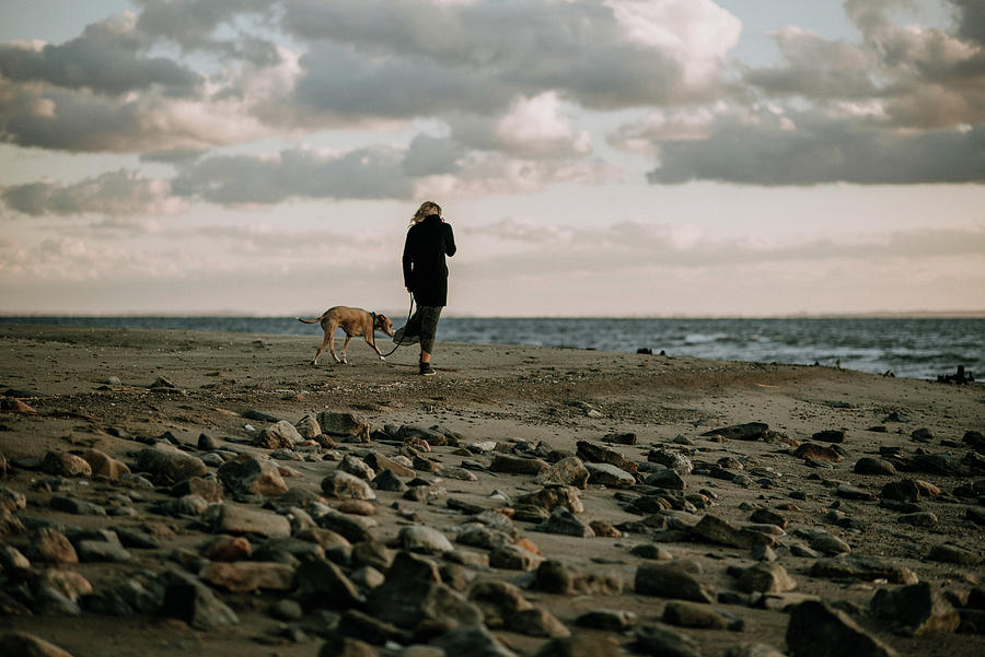 Sunset Photograph - Woman Walking Dog On The Beach At Sunset #1 by Cavan Images