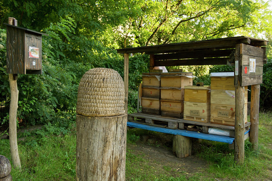 Wooden Crates In Intercultural Garden, Berlin, Germany #1 Photograph by Lukas Larsson Jalag