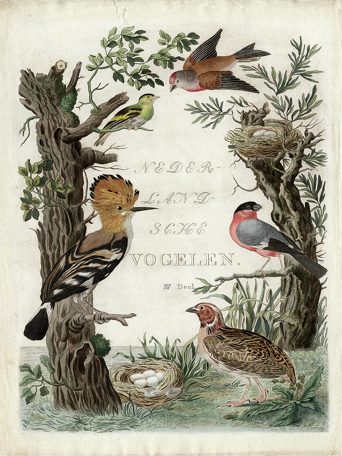 Animal Painting - Woodpecker Sanctuary #1 by Nozeman