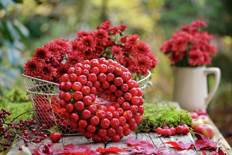 Wreath Of Crab Apples And Basket Of Chrysanthemums #1 Photograph by Angelica Linnhoff