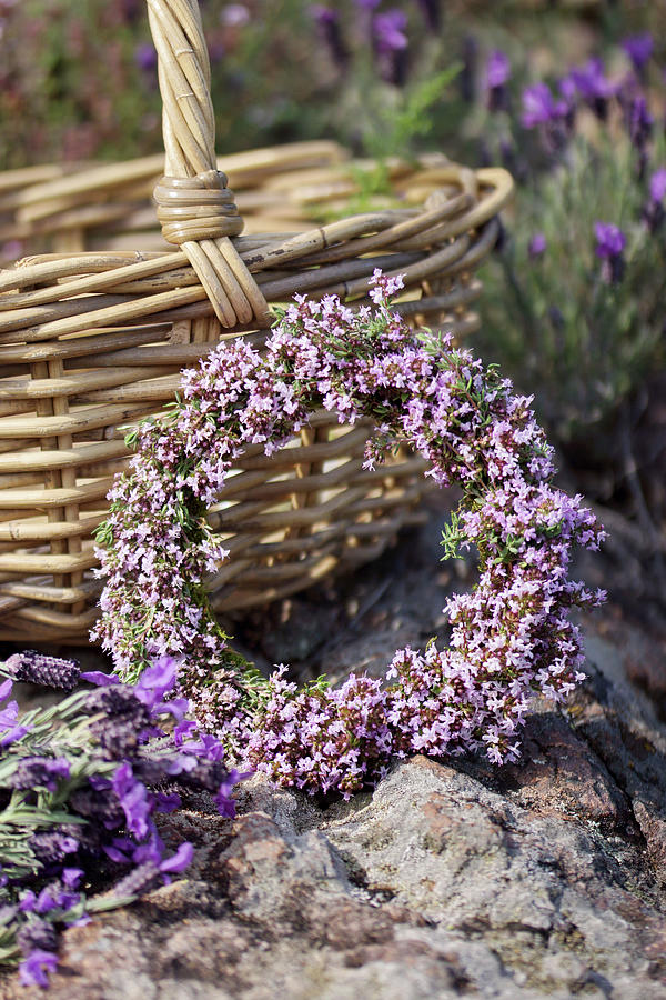 Wreath Of Flowering Thyme #1 Photograph by Angelica Linnhoff