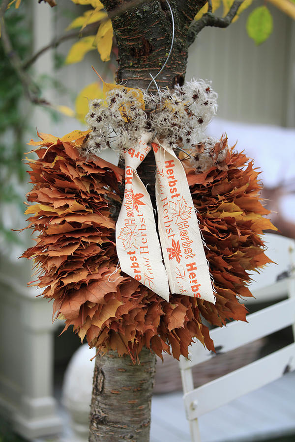 Wreath Of Maple Leaves And Clematis Seed Heads Hung On Cherry Tree #1 Photograph by Sonja Zelano