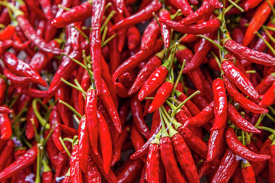 Wreaths of chillies #1 Photograph by Vivida Photo PC