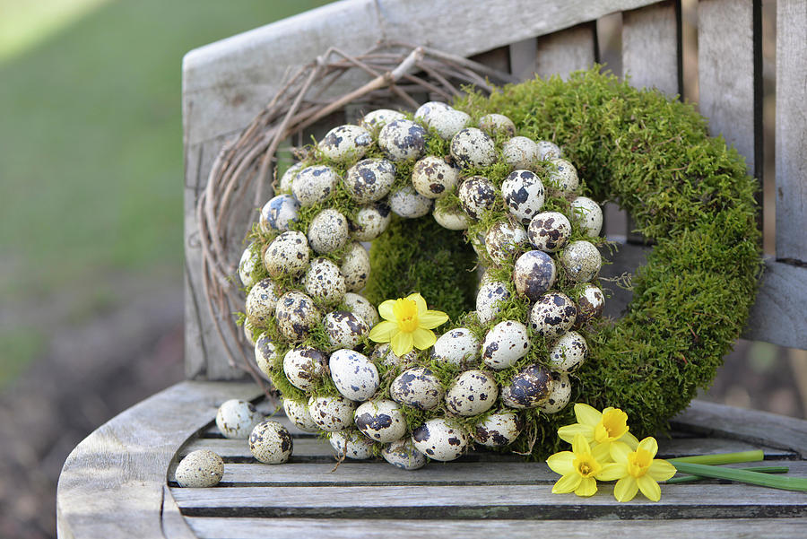 Wreaths Of Quail Eggs And Moss With Daffodil Flowers On Garden Bench #1 Photograph by Daniela Behr