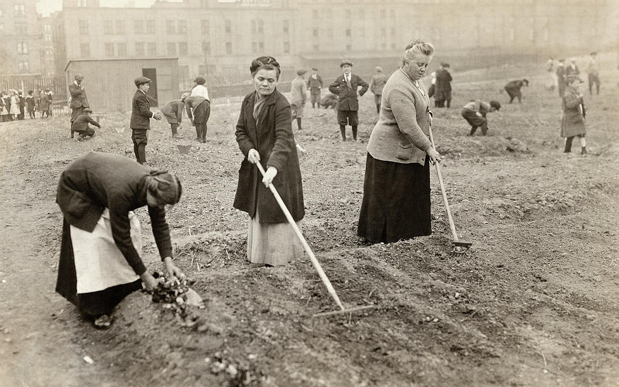 Wwi: War Garden, 1918 Photograph by Granger - Fine Art America