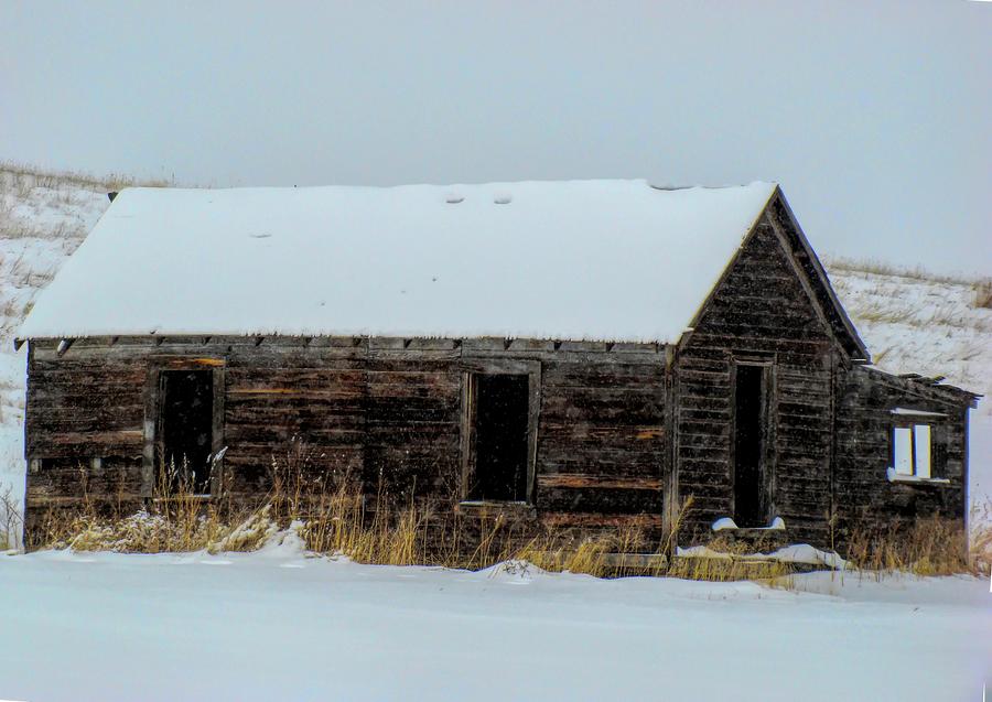 Wyoming Cabin in Winter  colors Photograph by Cathy Anderson