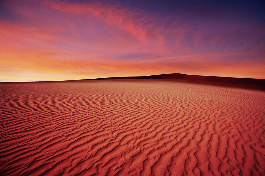 Xl Desert Sand Sunset #1 Photograph by Sharply done