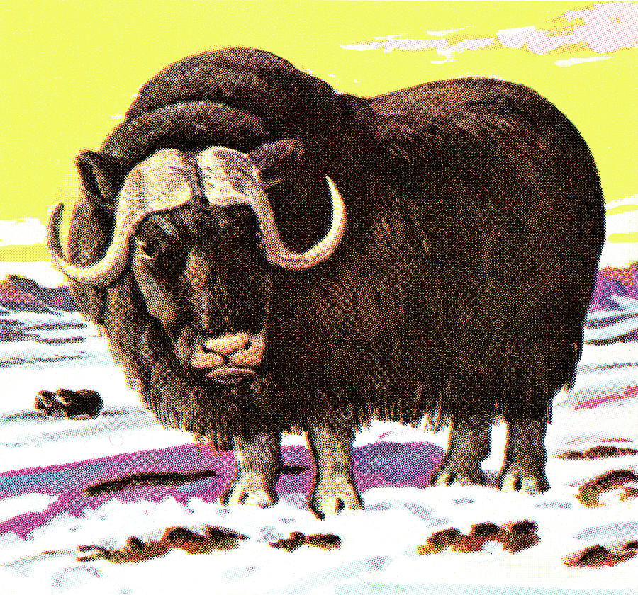 Prehistoric Drawing - Yak #1 by CSA Images
