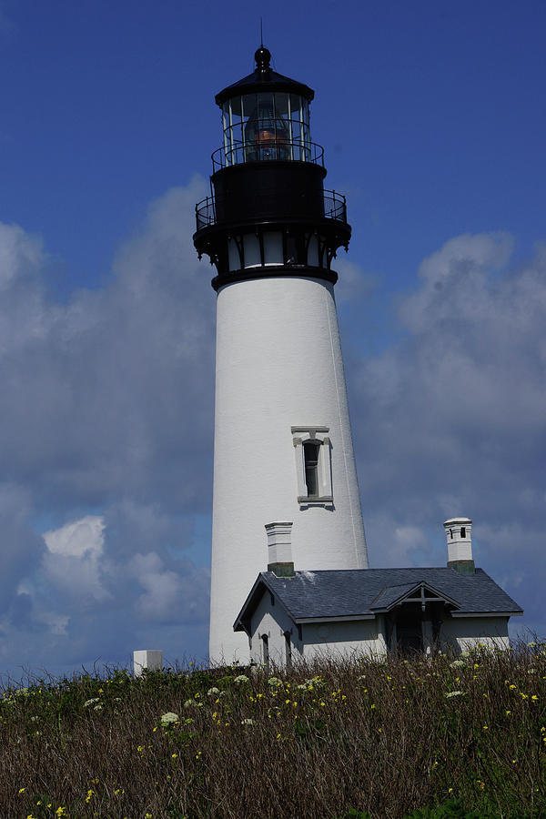Yaquina Head Lighthouse #1 Photograph by Steve Estvanik
