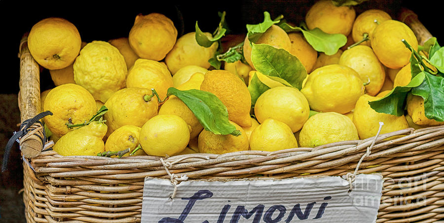 Yellow lemons on market Photograph by Patricia Hofmeester