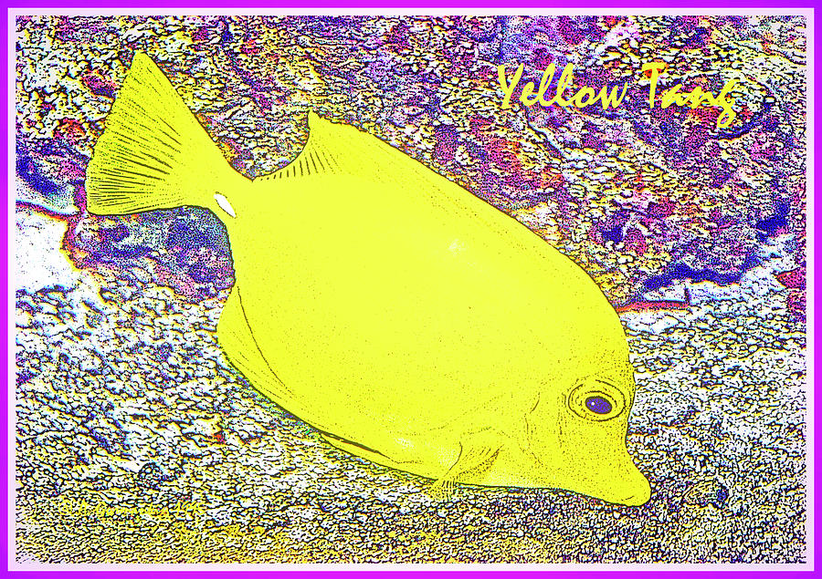 Yellow Tang, Surgeon Fish, Poster Image Digital Art by A Macarthur Gurmankin