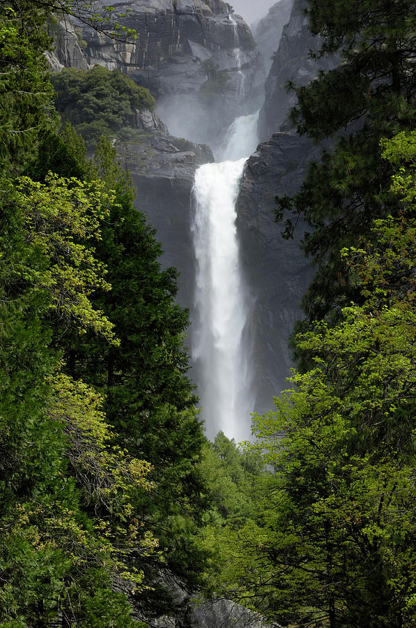 Yosemite Falls Framed By Trees #1 Photograph by Gomezdavid