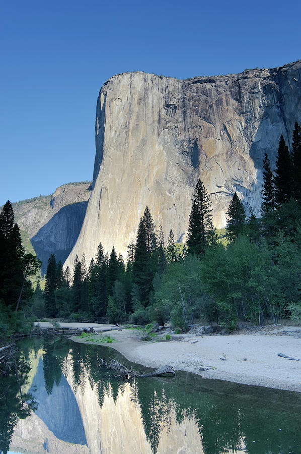 Yosemite National Park, El Capitan #1 Photograph by Michele Falzone