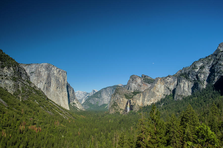 Yosemite Valley #1 Photograph by David L Moore