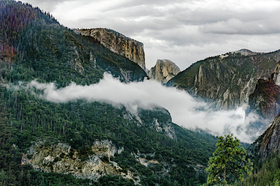 Yosemite Valley 4 Photograph by Silvia Marcoschamer