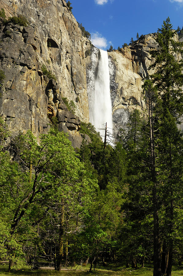 Yosemites Bridalveil Fall In The Spring #1 Photograph by Gomezdavid