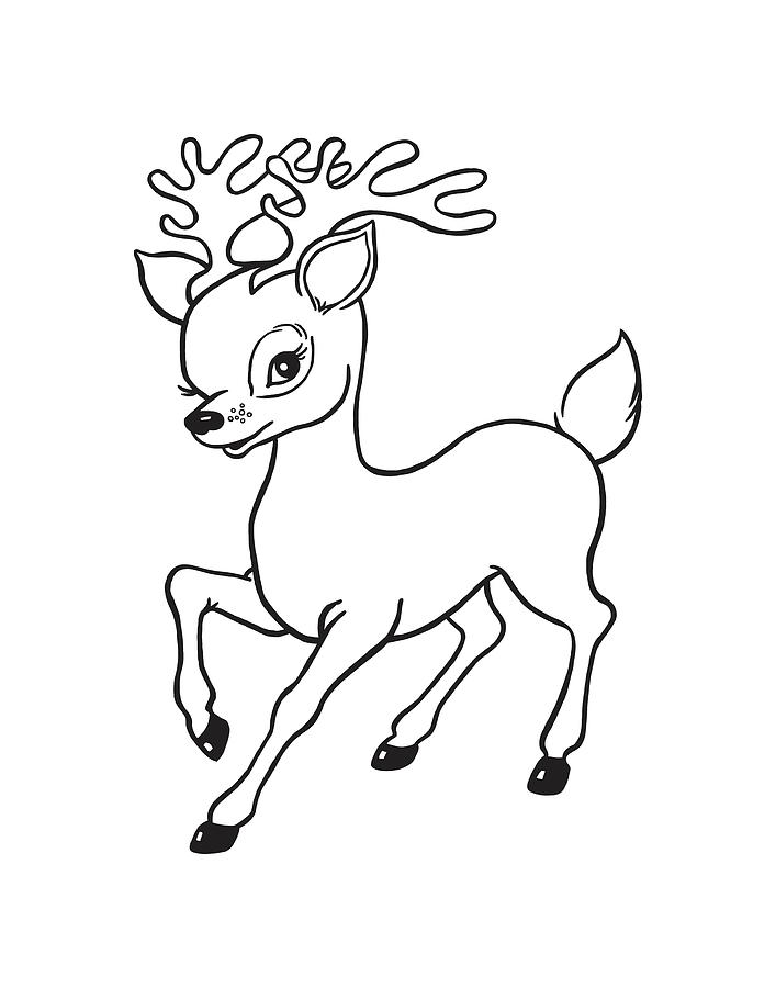 Black And White Drawing - Young Deer #1 by CSA Images
