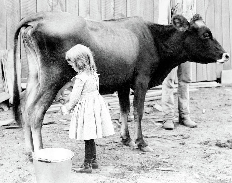 Young Milkmaid, 1902 #1 Photograph by Science Source