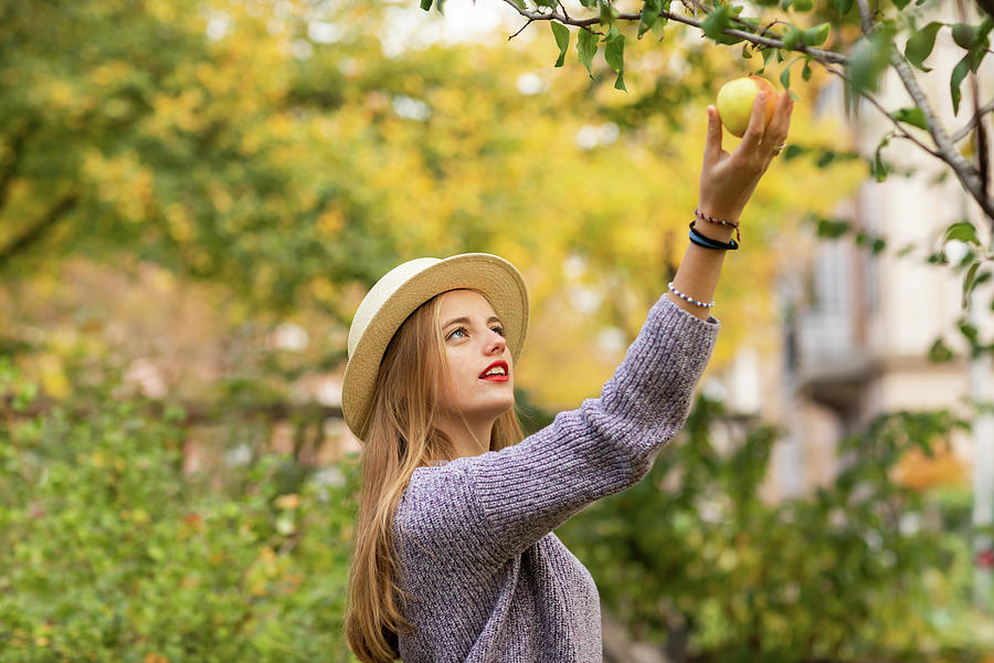 Tree Photograph - Young Woman With Blond Hair And Hat In An Urbanic Garden #1 by Cavan Images