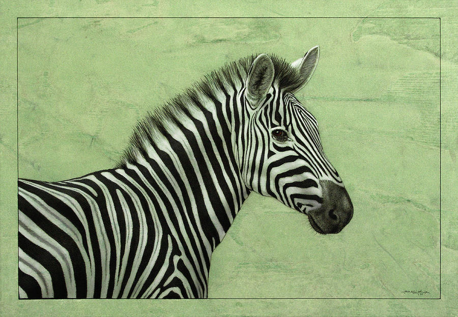 Zebra Mixed Media - Zebra #1 by James W. Johnson
