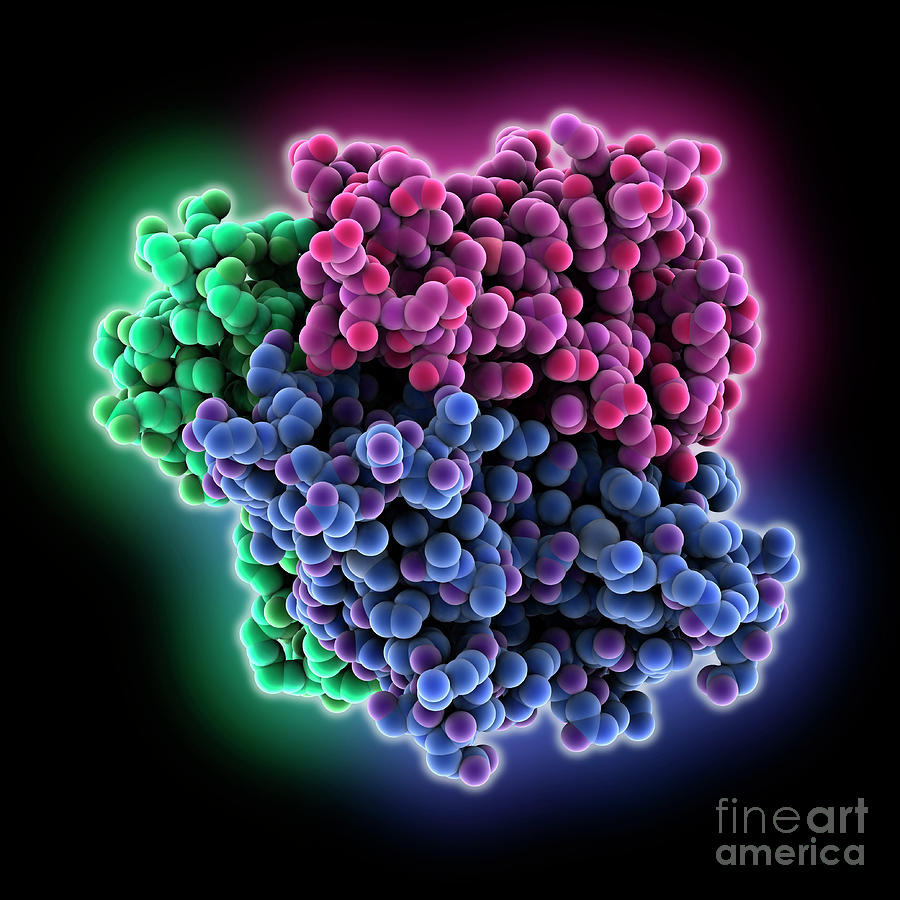 Zebrafish Tumour Necrosis Factor Alpha #1 by Laguna Design/science ...