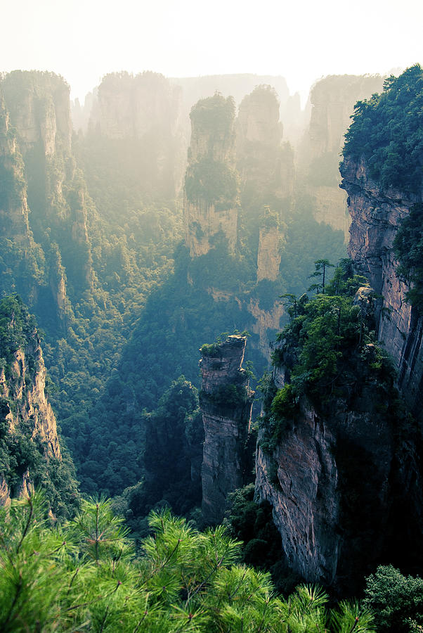 Zhangjiajie Forest National Park #1 Photograph by Yves Andre