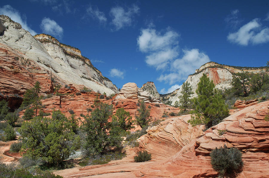 Zion Canyon Natural Beauty Photograph by Mitch Diamond