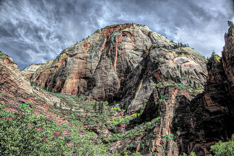 Zion National Park III #1 Photograph by Chuck Kuhn