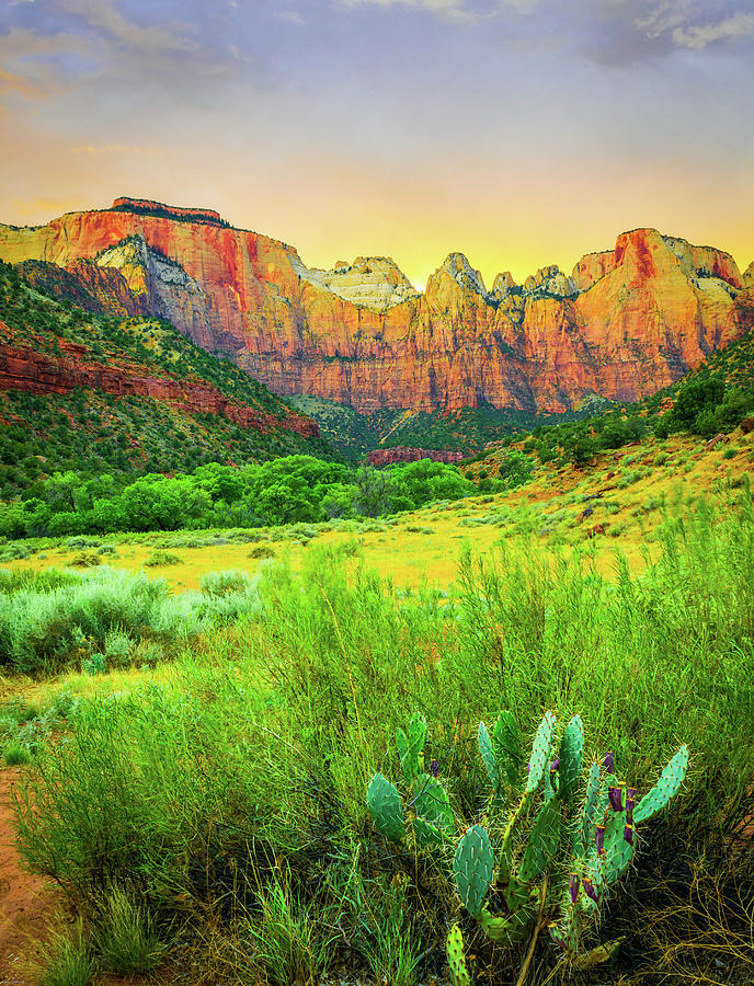 Zion Sunset #1 Photograph by Aaron Geraud