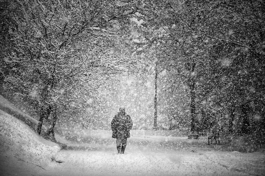 Winter Photograph -  #10 by Stanislav Hricko