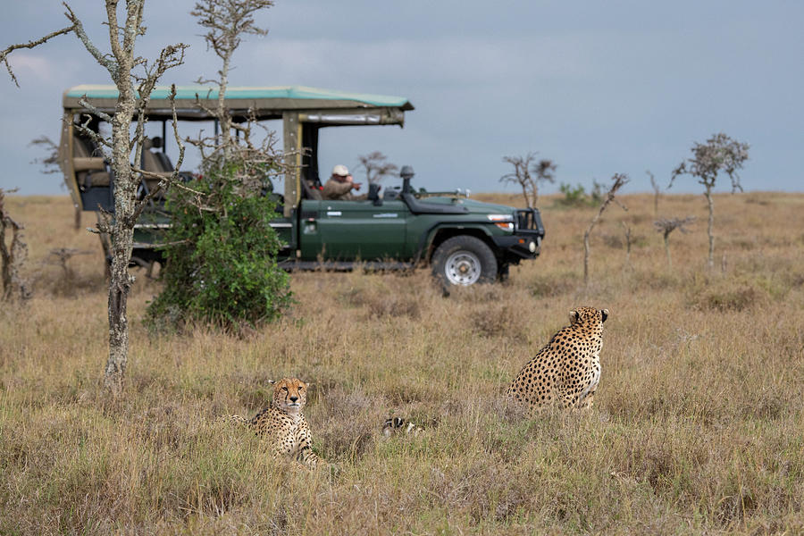 Africa, Kenya, Ol Pejeta Conservancy Photograph by Cindy Miller Hopkins ...