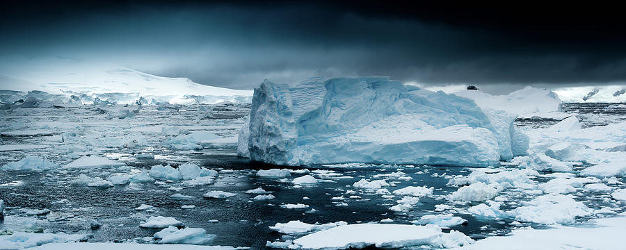Antarctica #10 Photograph by Michael Leggero