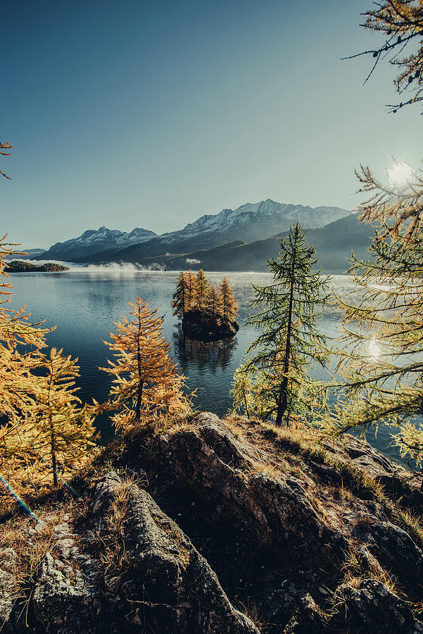 Autumn Forest On Lake Sils In The Upper Engadine, St. Moritz In The Engadine, Switzerland, Europe #10 Photograph by Christian Frumolt