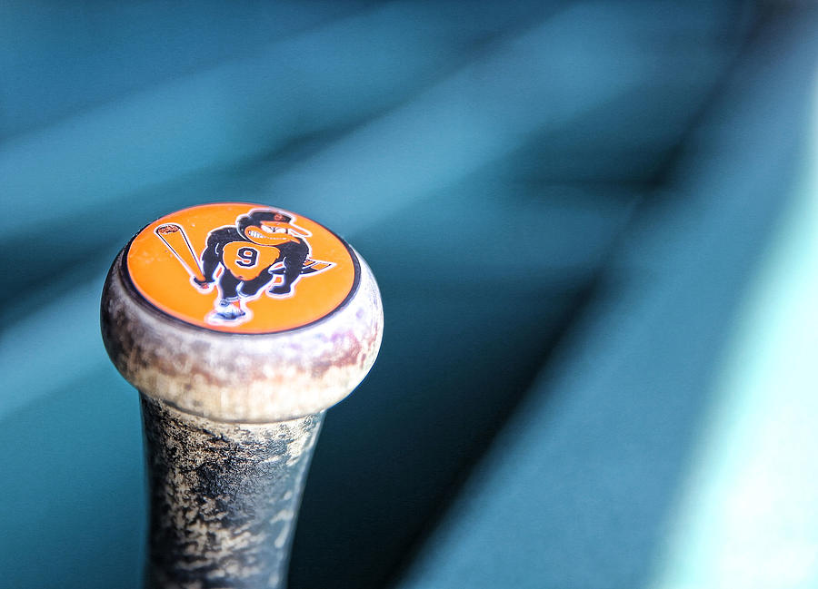 Baltimore Orioles V Detroit Tigers Photograph by Leon Halip