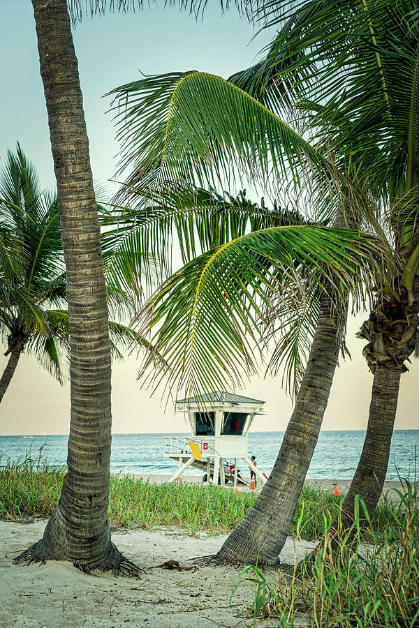 Beach At Fort Lauderdale, Fl #10 Digital Art by Laura Zeid