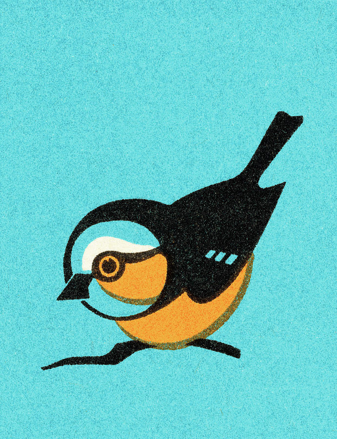 Vintage Drawing - Bird #10 by CSA Images