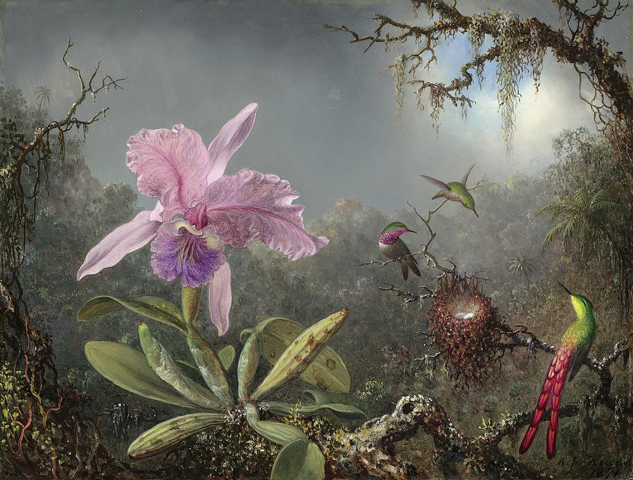 Cattleya Orchid And Three Hummingbirds Painting by Martin Johnson Heade Cattleya Orchid And Three Hummingbirds Painting by Martin Johnson Heade