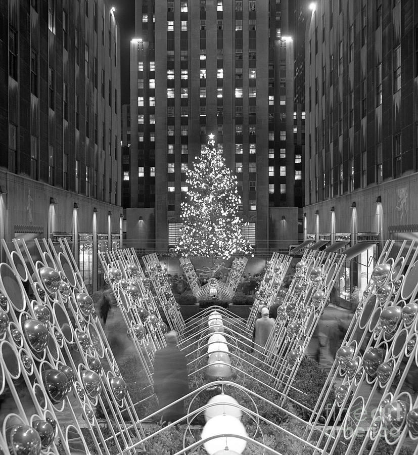 Christmas Tree At Rockefeller Center #10 Photograph by Bettmann