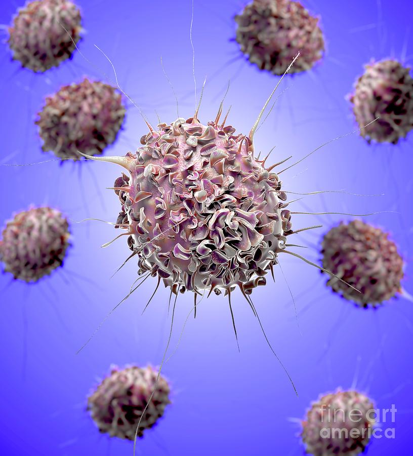 Dendritic Cells #10 Photograph by Tim Vernon / Science Photo Library