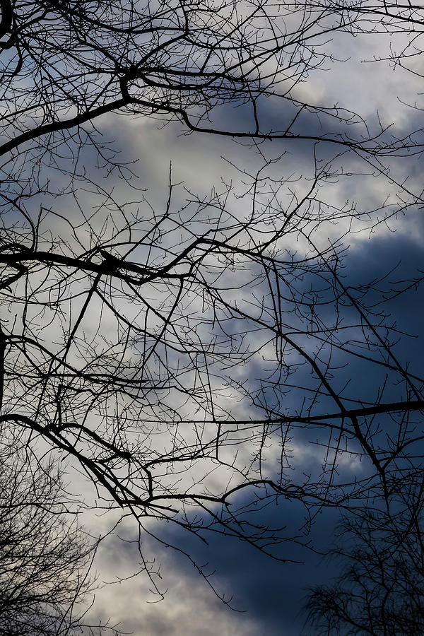 Dramatic Sky Clouds and Trees #10 Photograph by Robert Ullmann