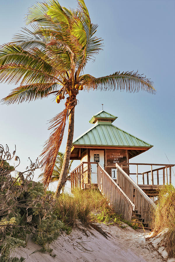 Florida, Boca Raton, Lifeguard Tower With Palm Tree At The Beach #10 Digital Art by Laura Diez