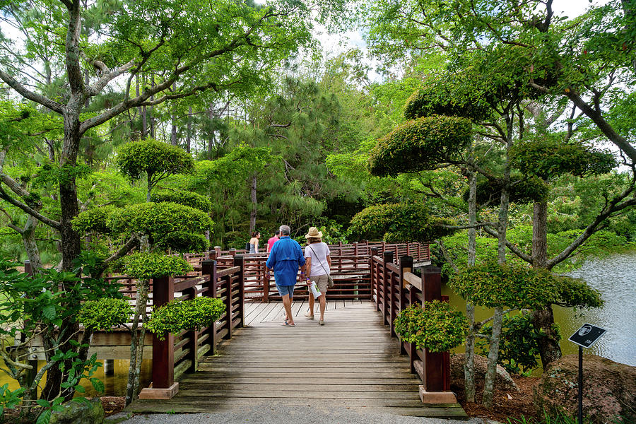 Florida, South Florida, Delray Beach, Morikami Japanese Gardens #10 Digital Art by Laura Zeid