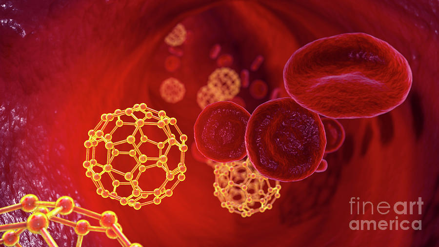 Fullerene Nanoparticles In Blood #10 Photograph by Kateryna Kon/science Photo Library