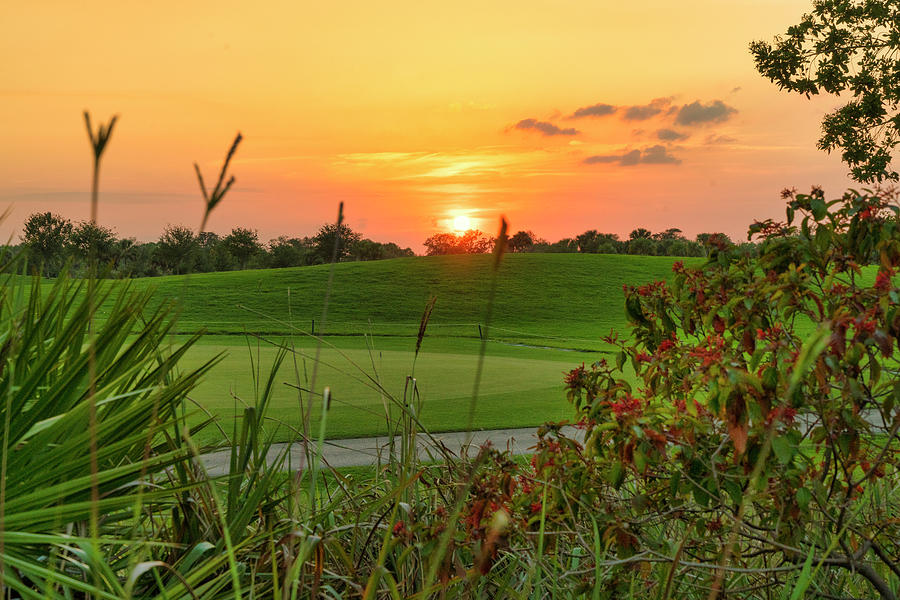 Golf Course In Boca Raton Florida #10 Digital Art by Laura Zeid
