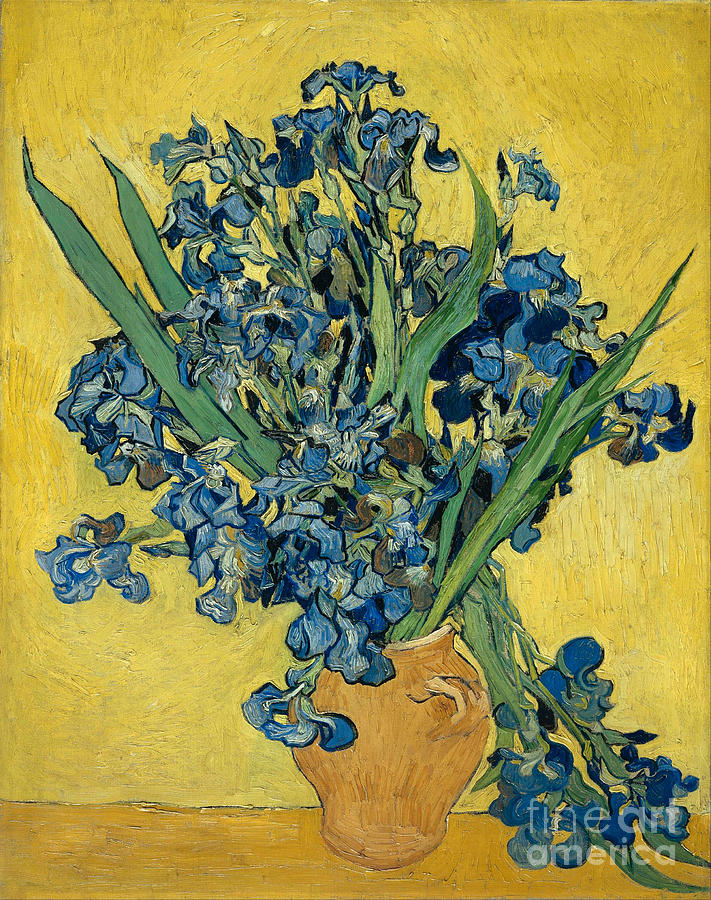 Irises, 1890 Painting by Vincent Van Gogh - Fine Art America