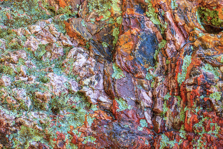 Abstract Photograph - Large, Naturally Polished Rock by Stuart Westmorland Abstract Photograph - Large, Naturally Polished Rock by Stuart Westmorland