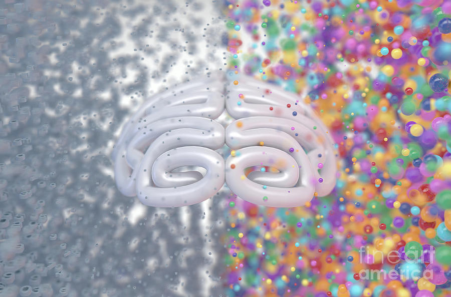 Brain Digital Art - Left Right Brain Concept by Allan Swart Brain Digital Art - Left Right Brain Concept by Allan Swart