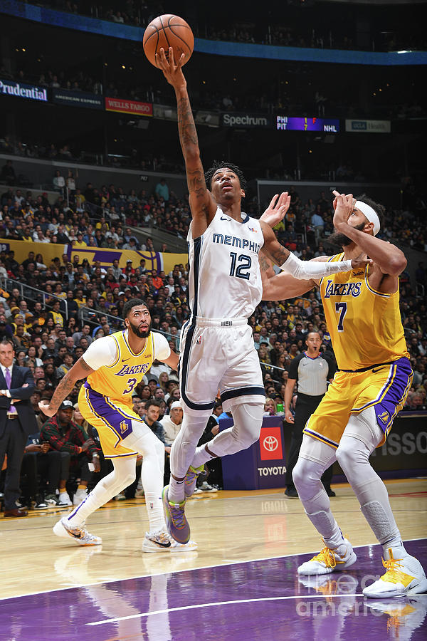 Memphis Grizzlies V Los Angeles Lakers Photograph by Andrew D. Bernstein