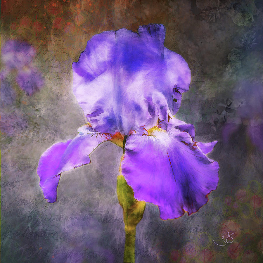 Iris Digital Art - New Upload by Shelley Benjamin Iris Digital Art - New Upload by Shelley Benjamin